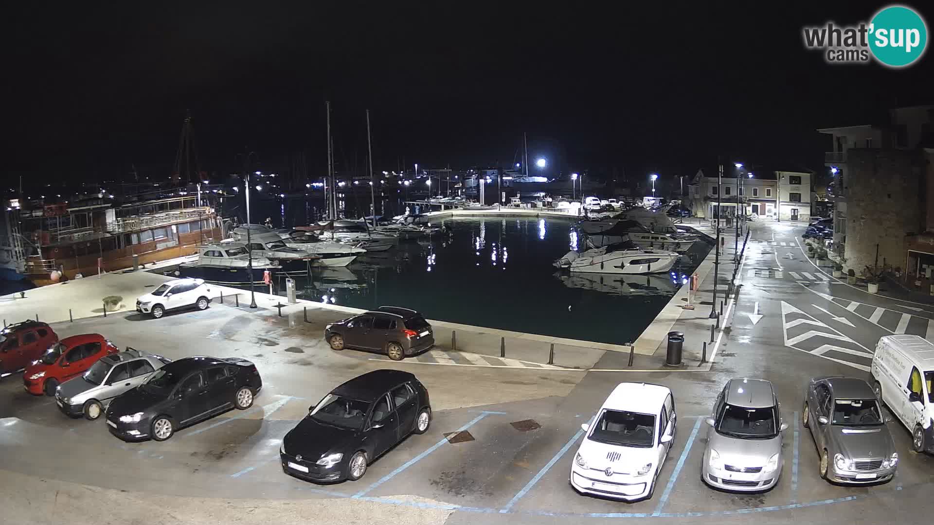 Novigrad | Porporela marina