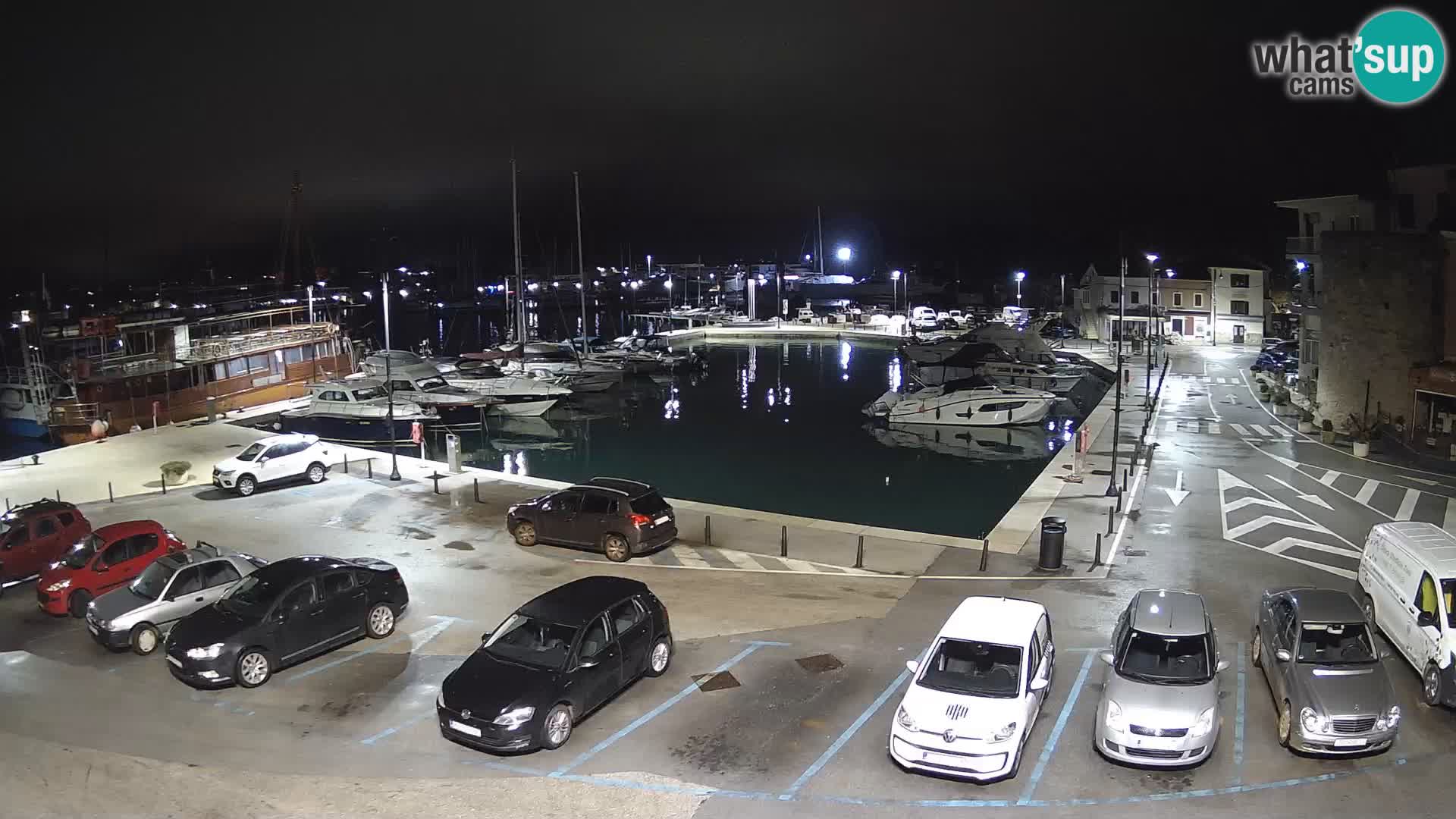 Novigrad | Porporela marina