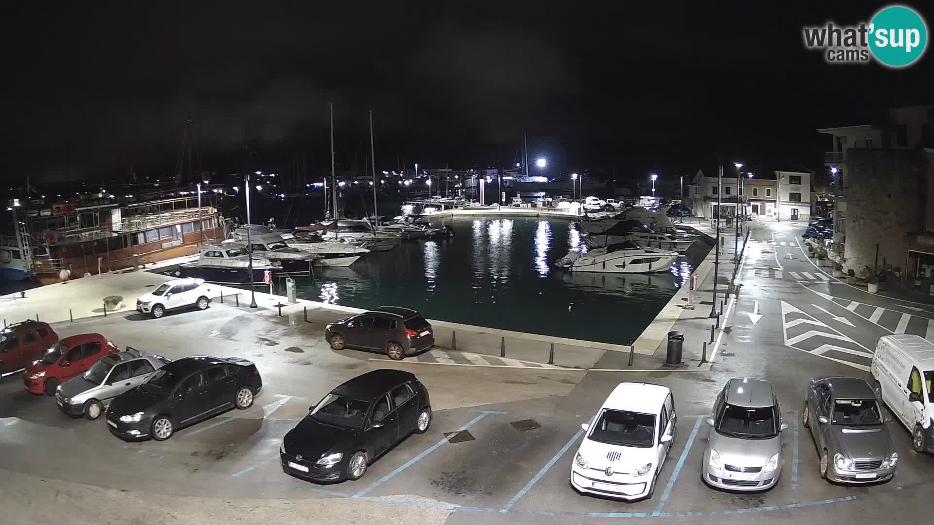 Novigrad | Porporela marina