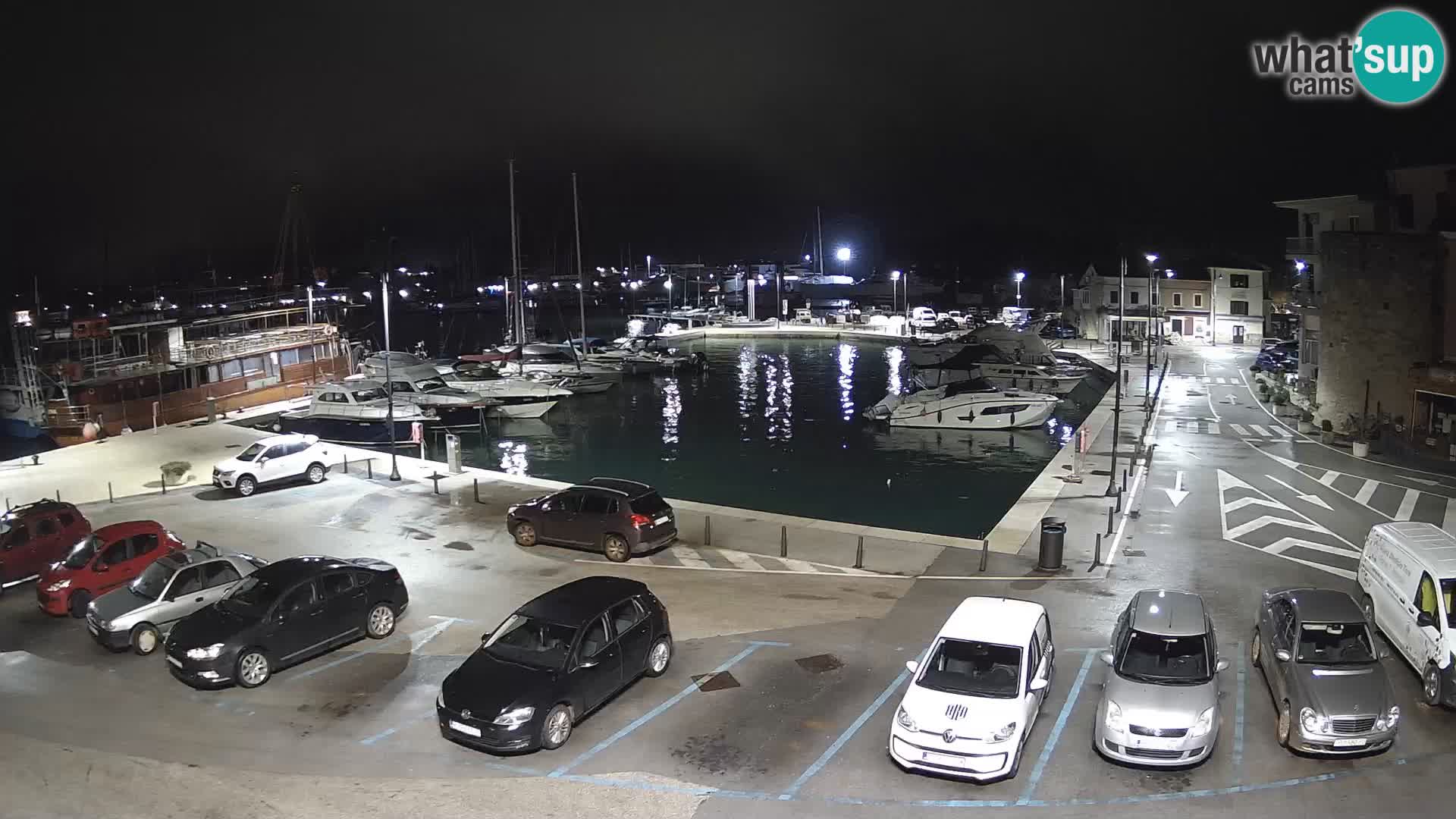 Novigrad | Porporela marina