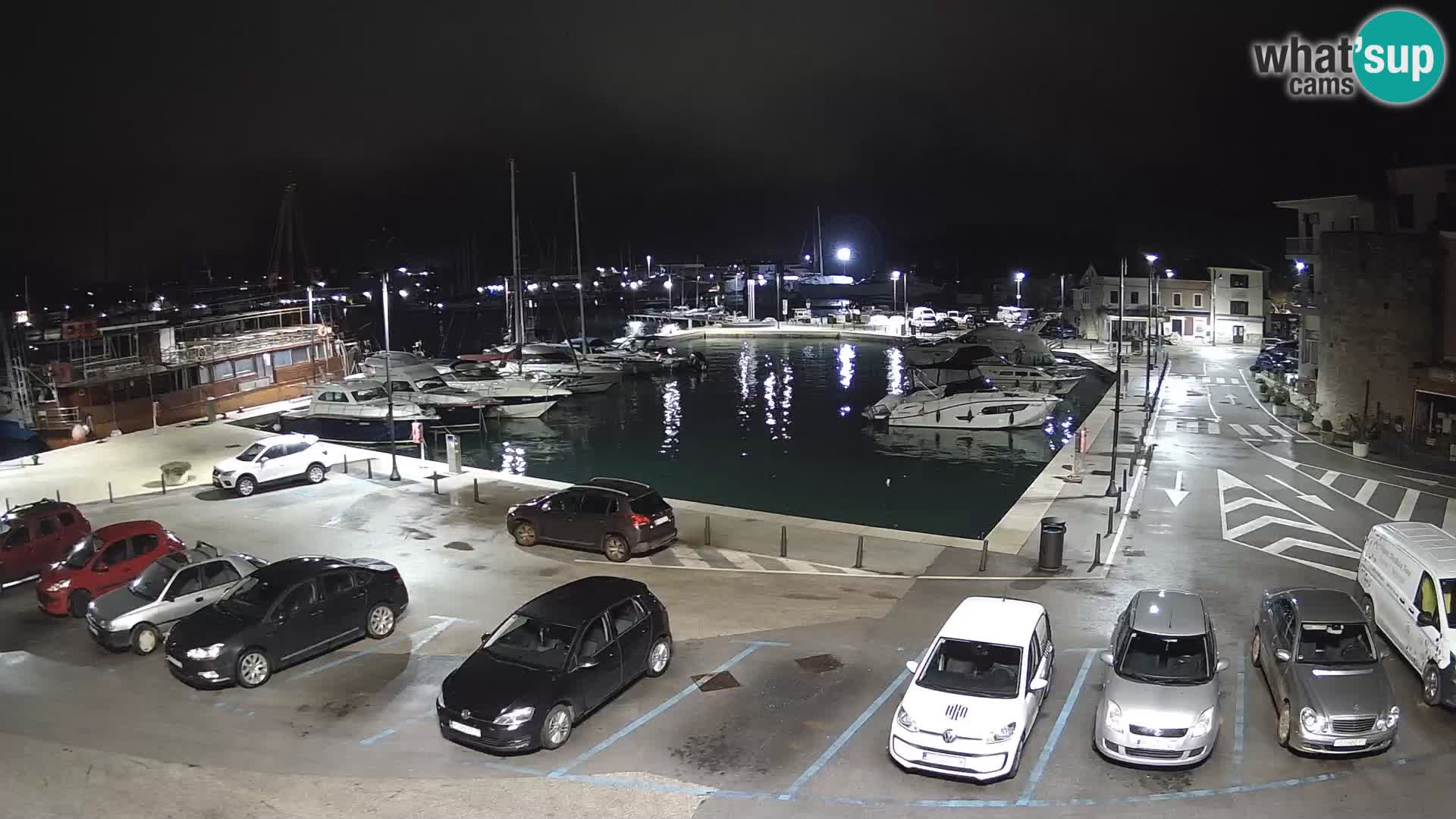 Novigrad | Porporela marina