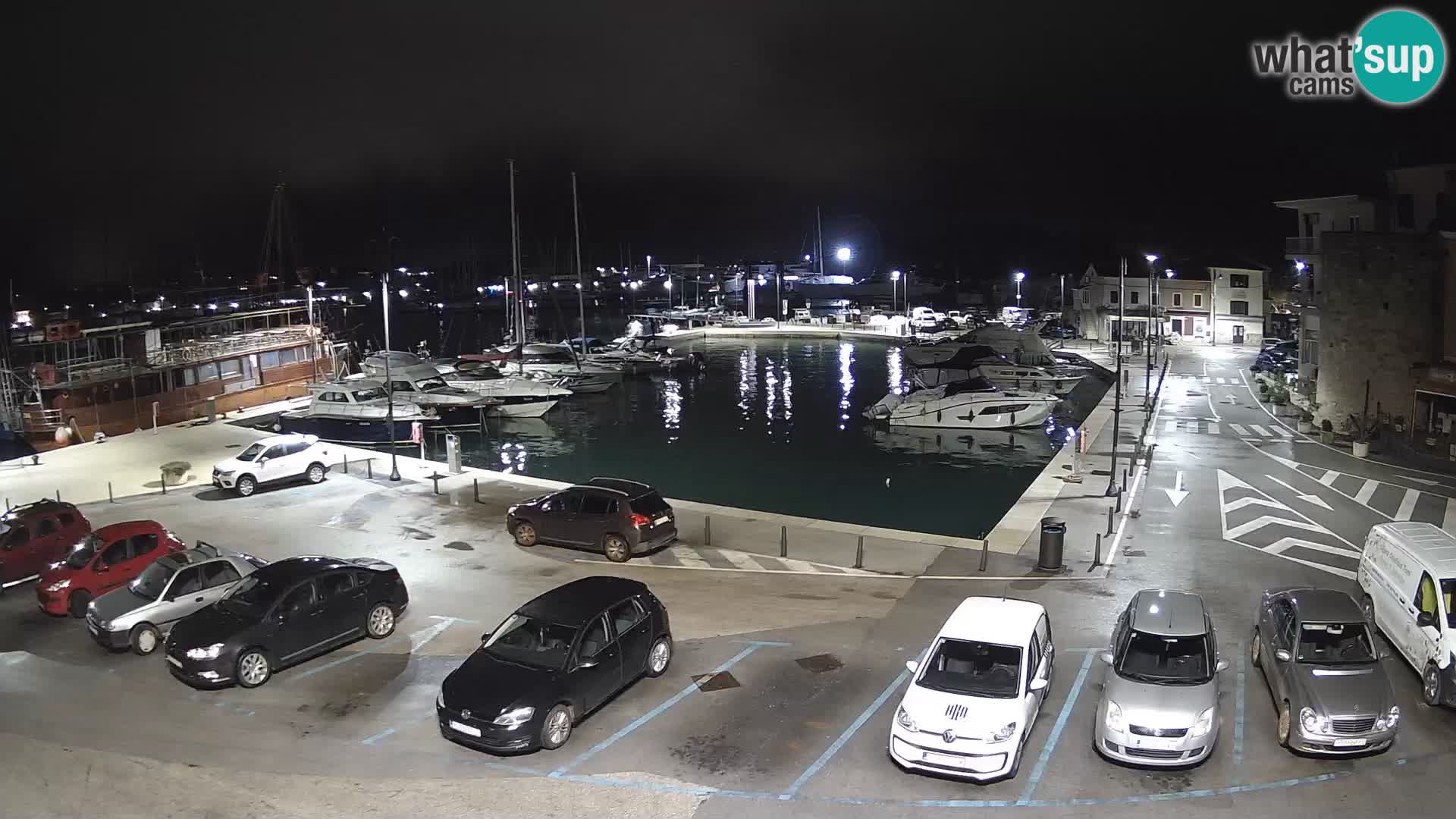 Novigrad | Porporela marina