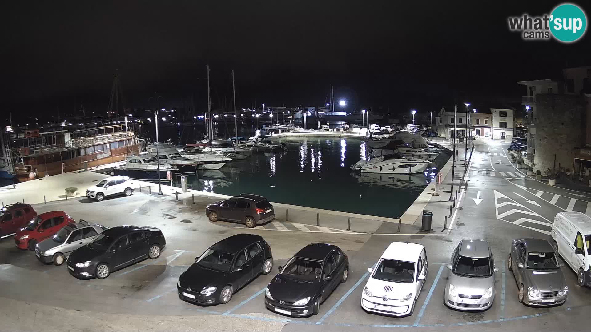 Novigrad | Porporela marina