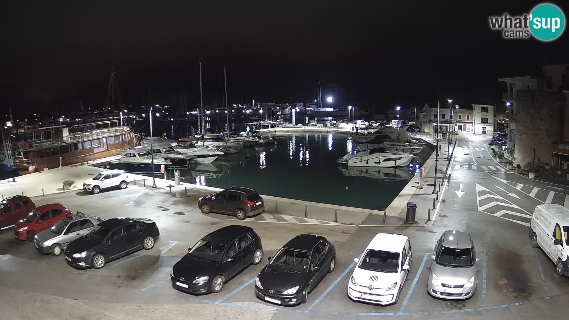 Novigrad | Porporela marina