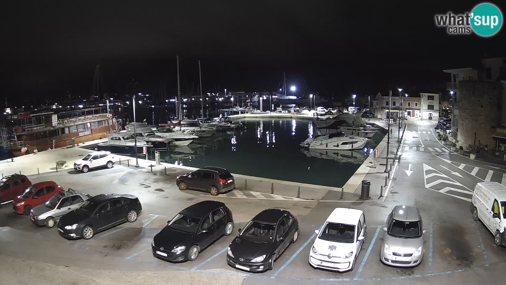 Novigrad | Porporela marina