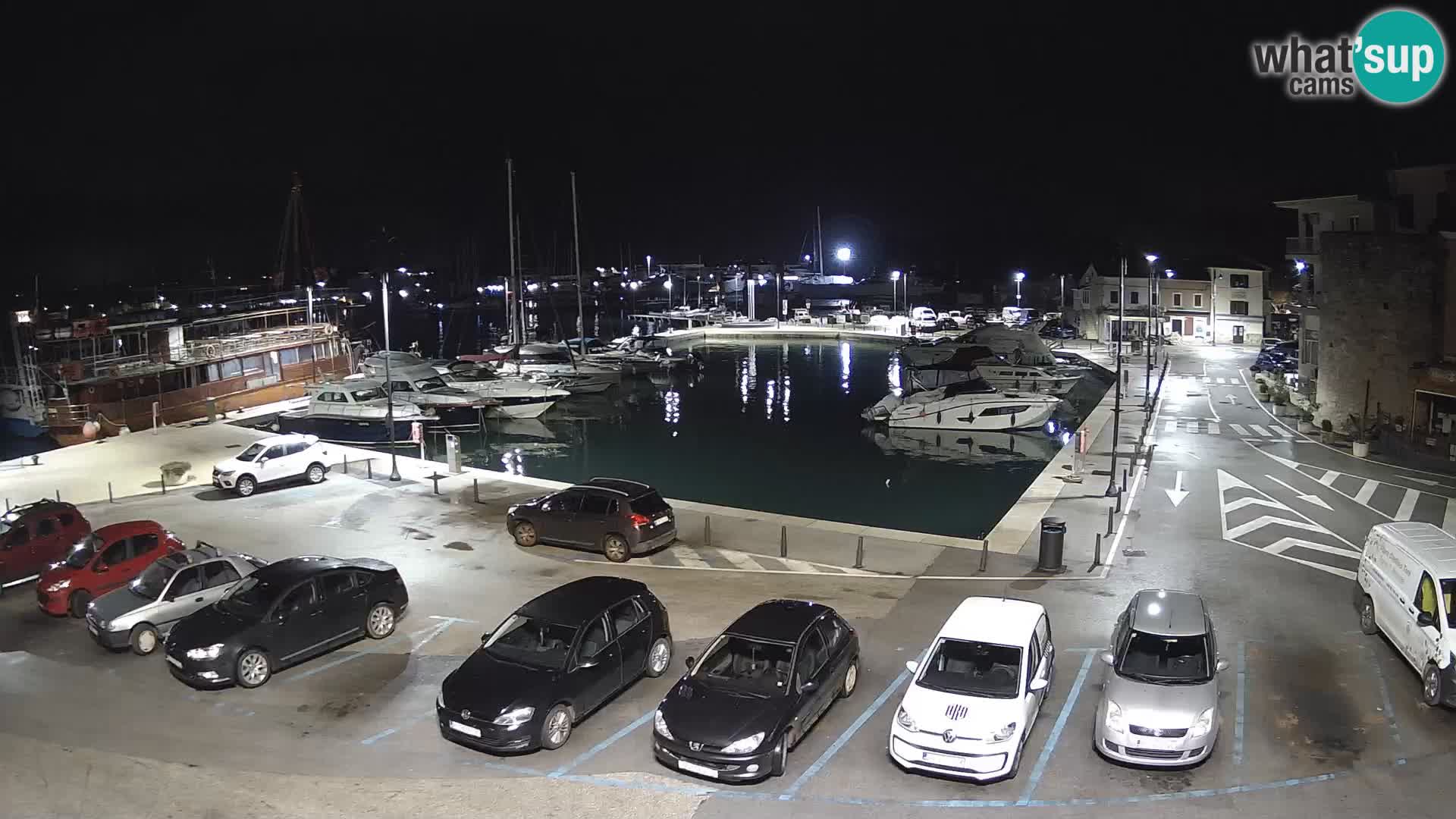 Novigrad | Porporela marina