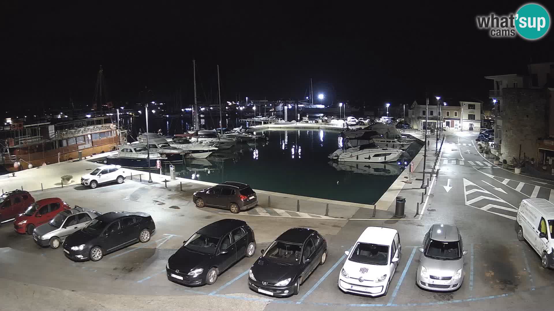 Novigrad | Porporela marina