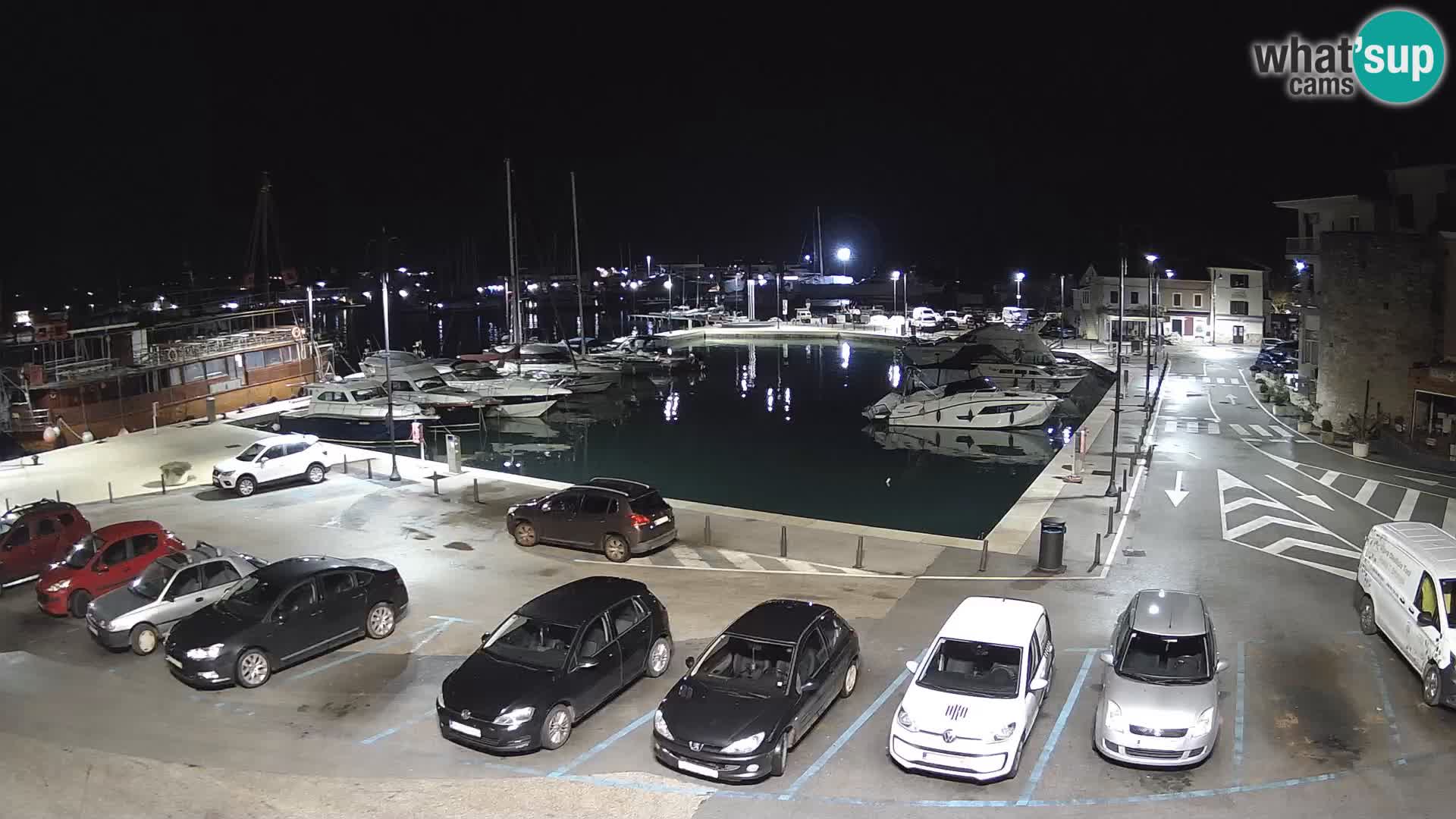 Novigrad | Porporela marina