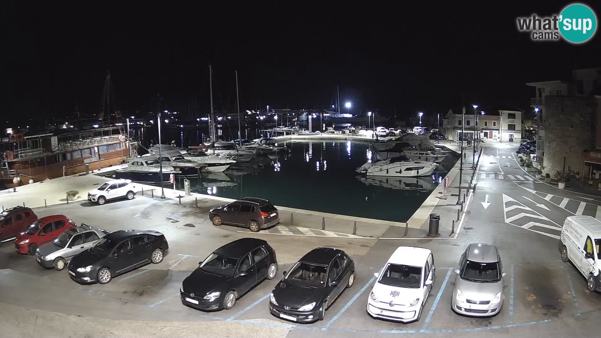 Novigrad | Porporela marina