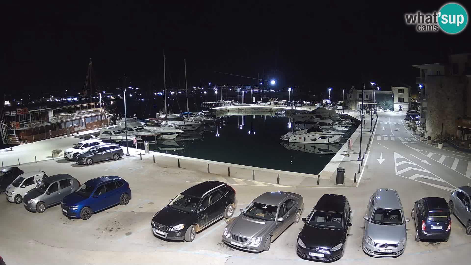 Novigrad | Porporela marina