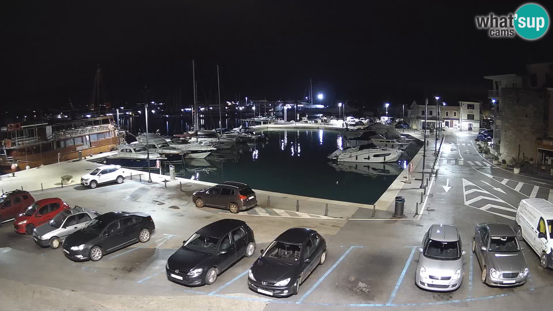 Novigrad | Porporela marina