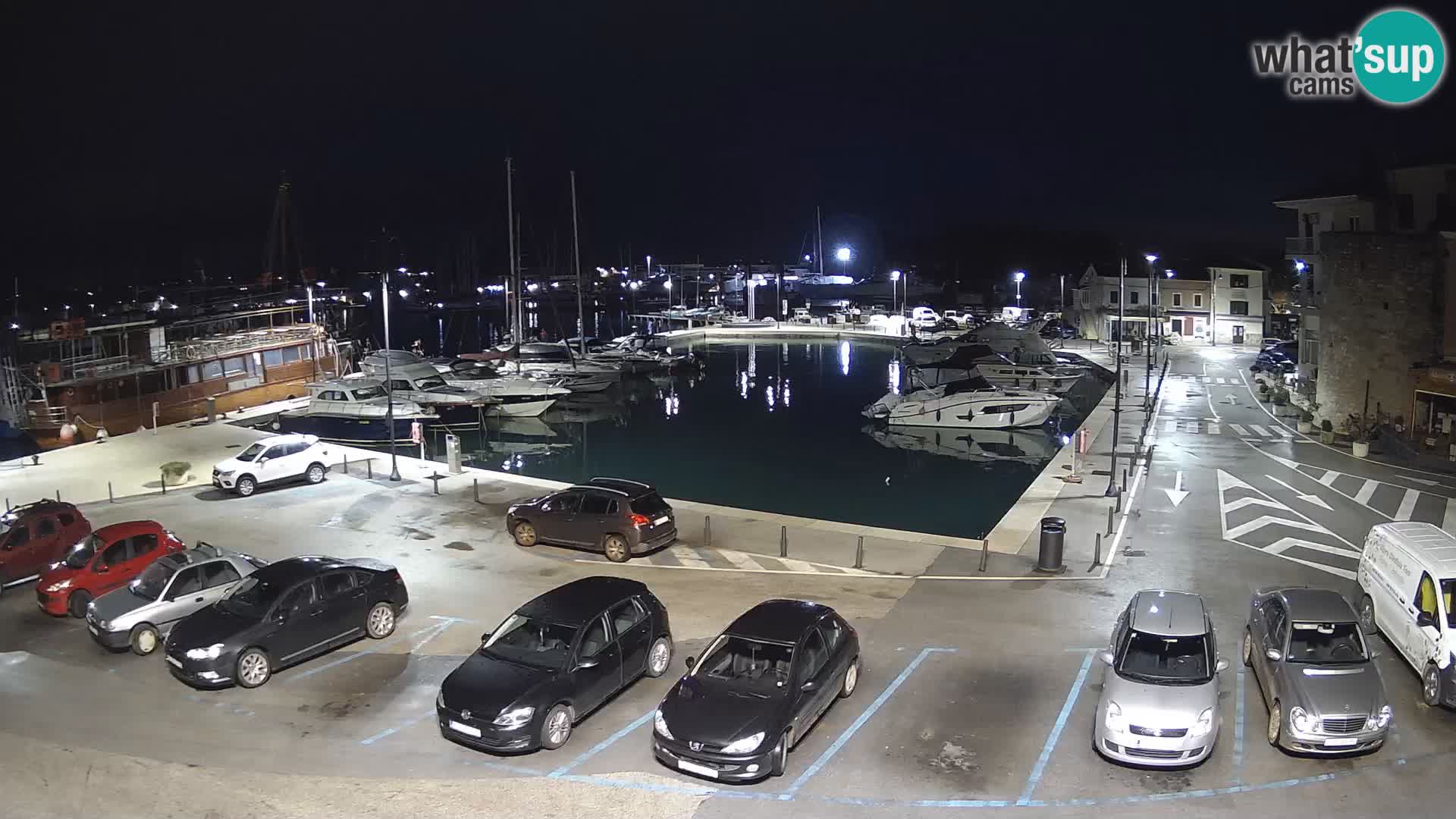 Novigrad | Porporela marina