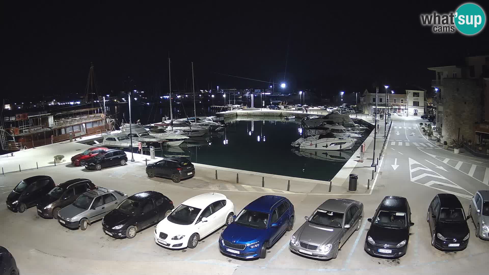 Novigrad | Porporela marina