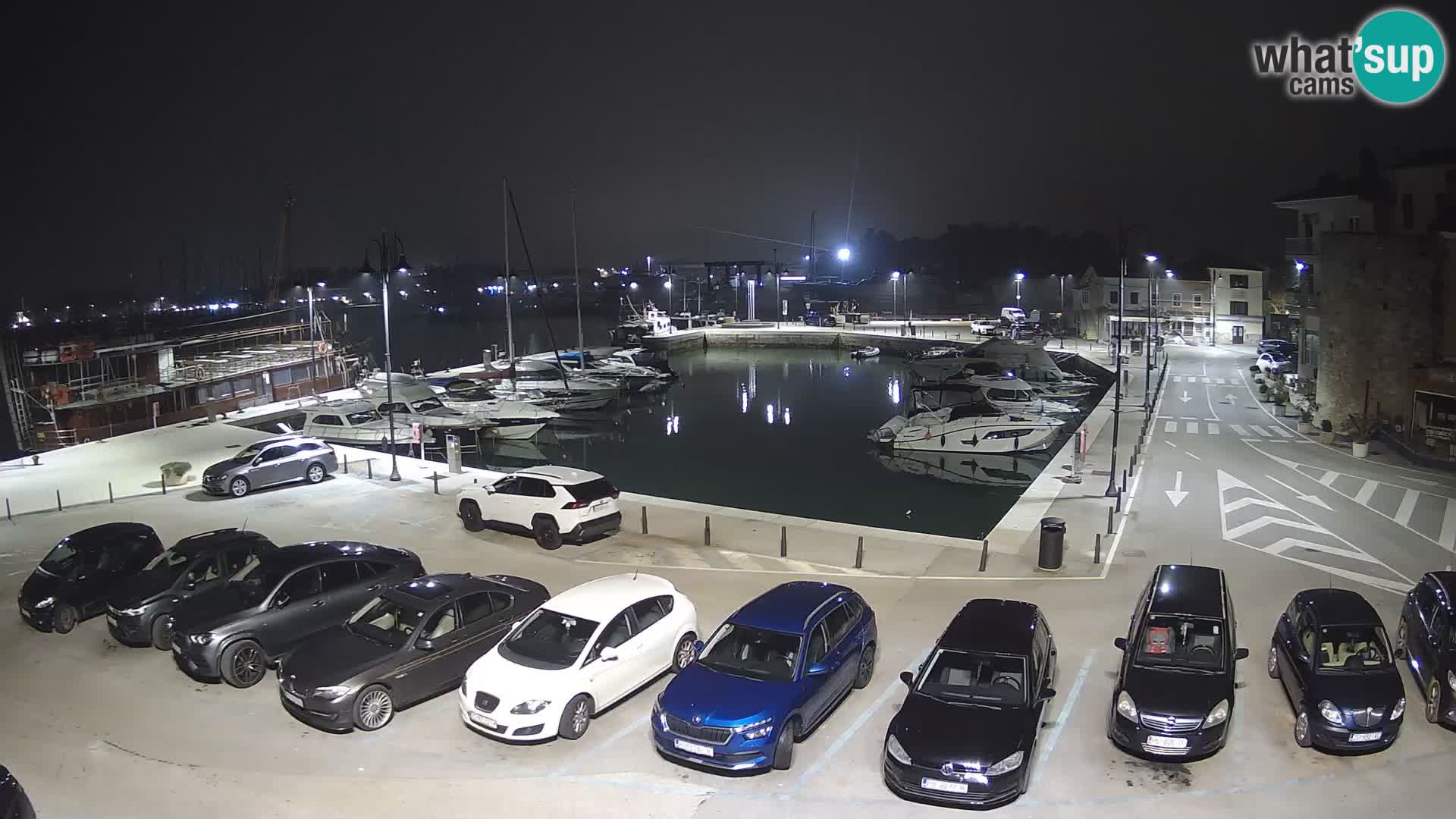 Novigrad | Porporela marina