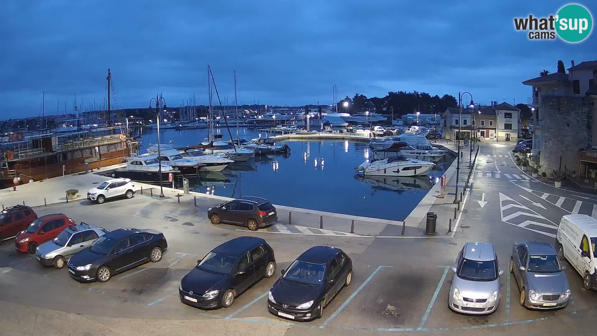 Novigrad | Porporela marina