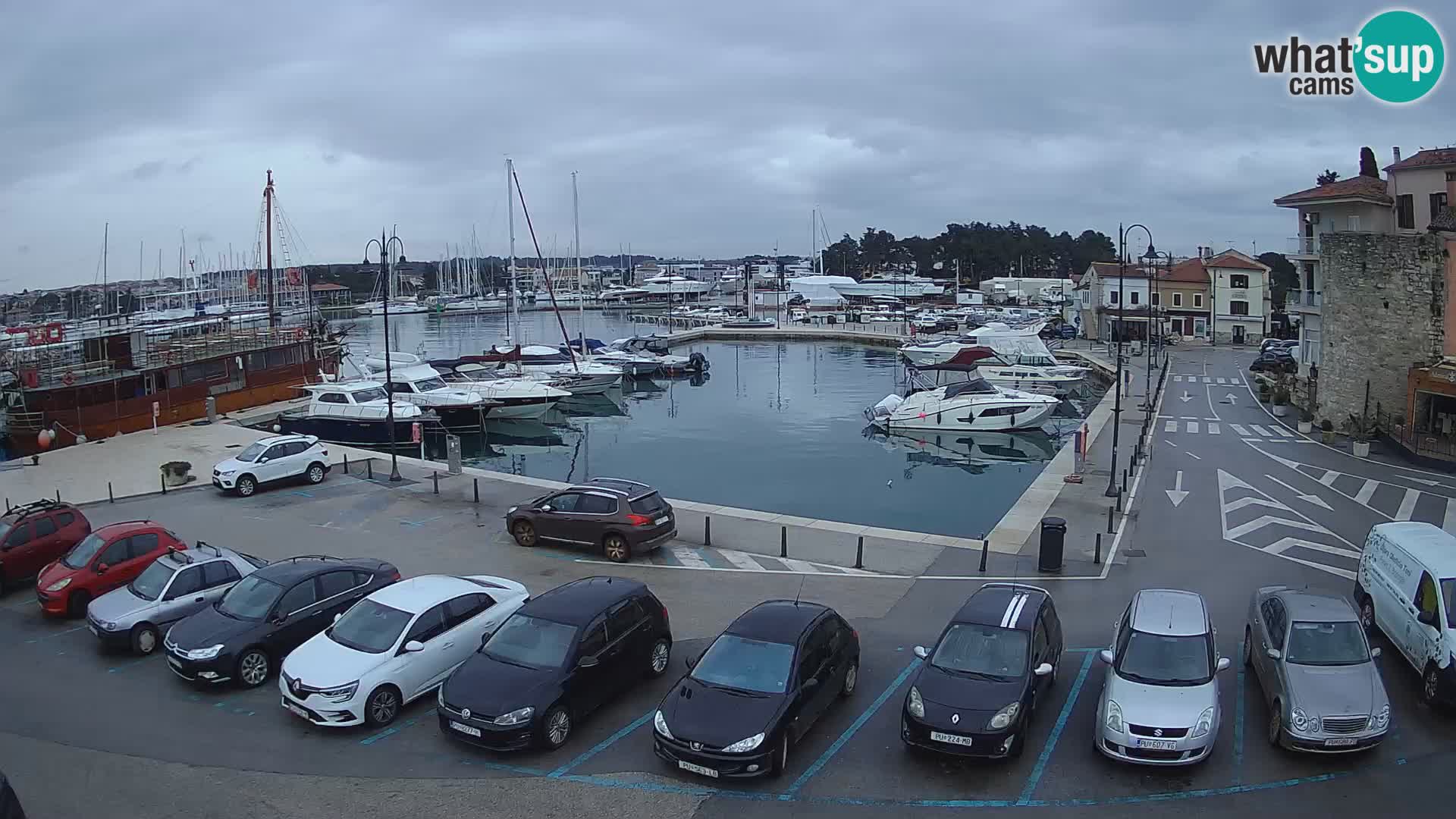 Novigrad | Porporela marina