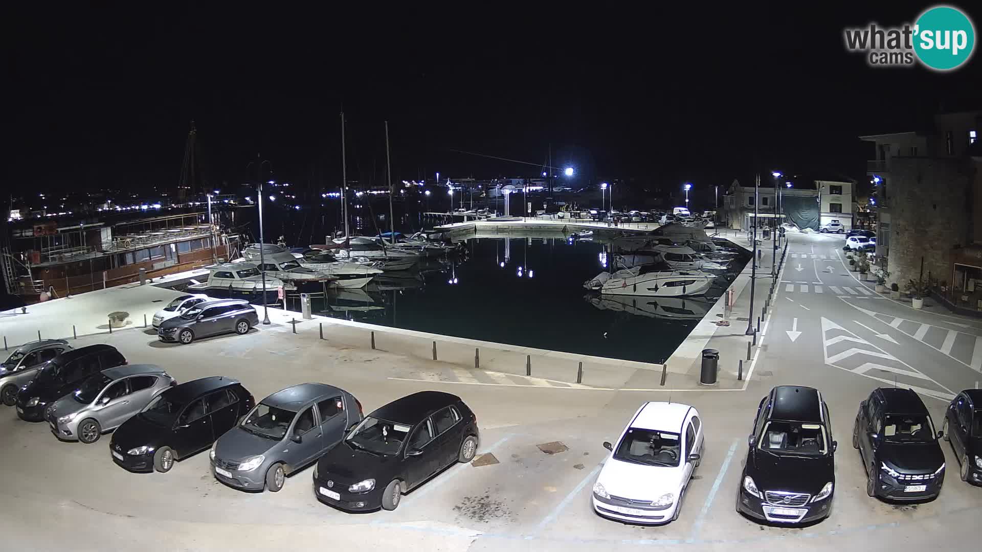 Novigrad | Porporela marina
