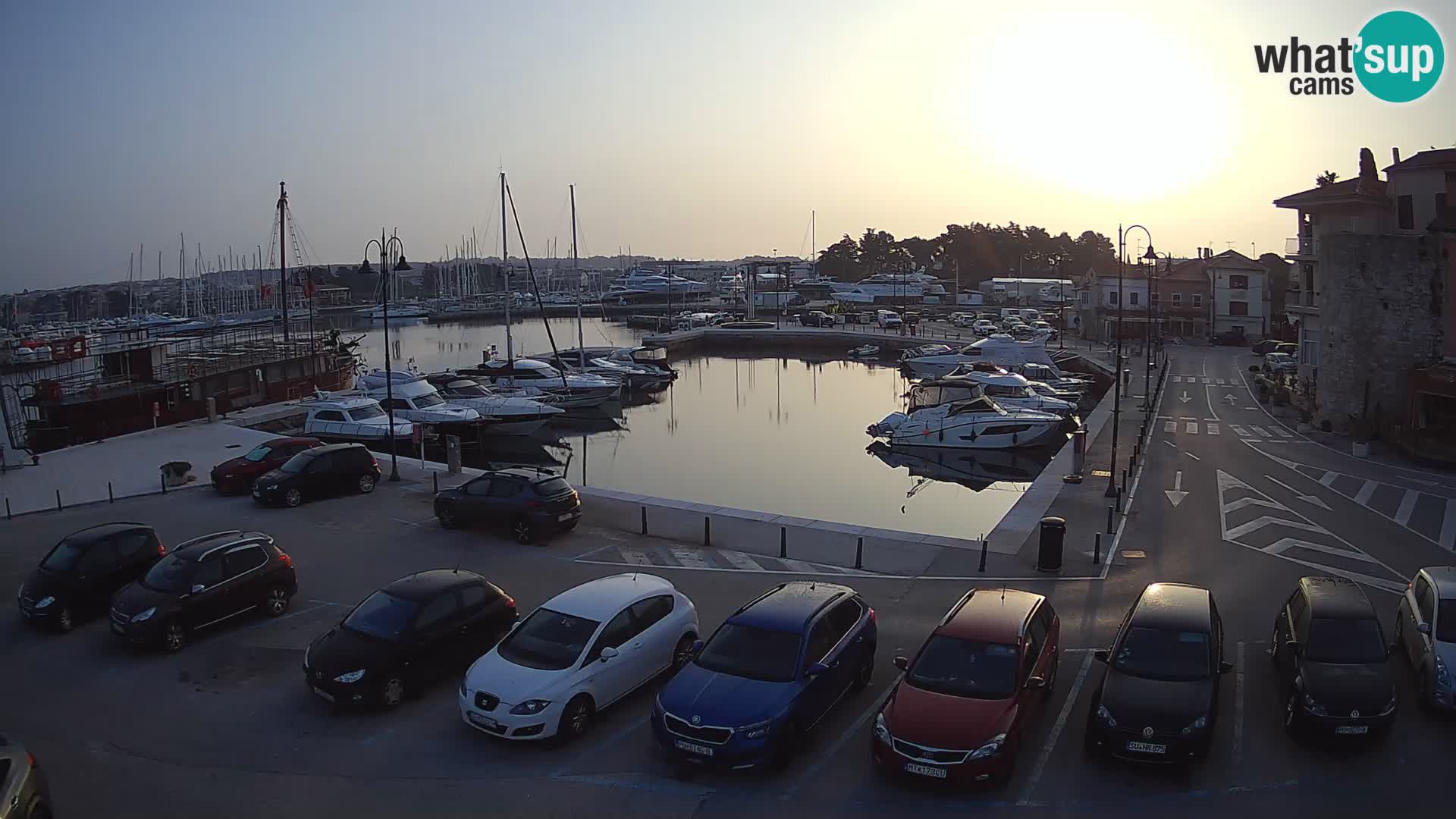 Novigrad | Porporela marina
