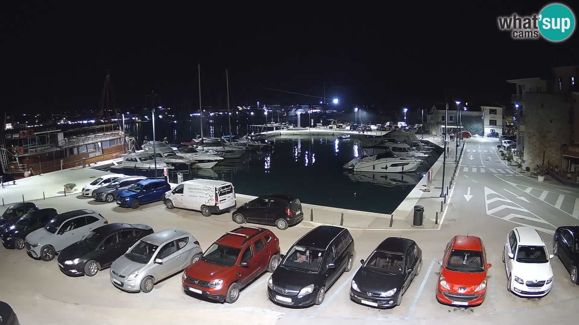 Novigrad | Porporela marina