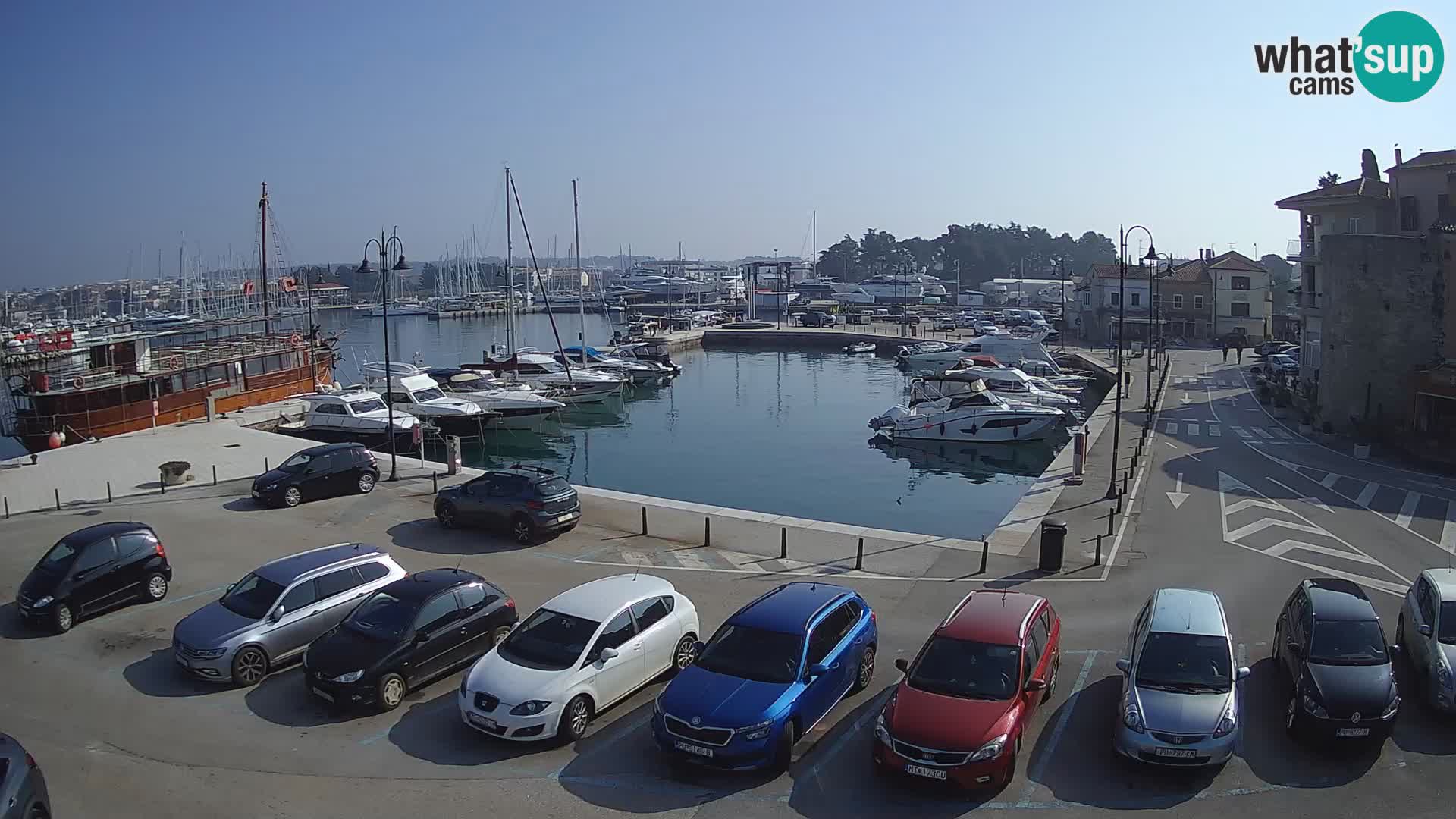 Novigrad | Porporela marina