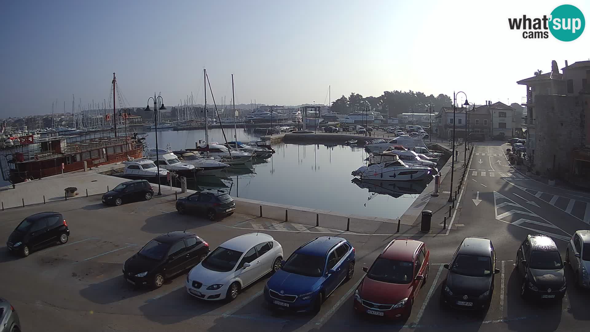 Novigrad | Porporela marina