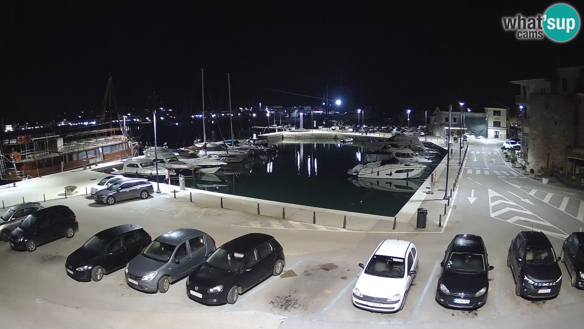 Novigrad | Porporela marina