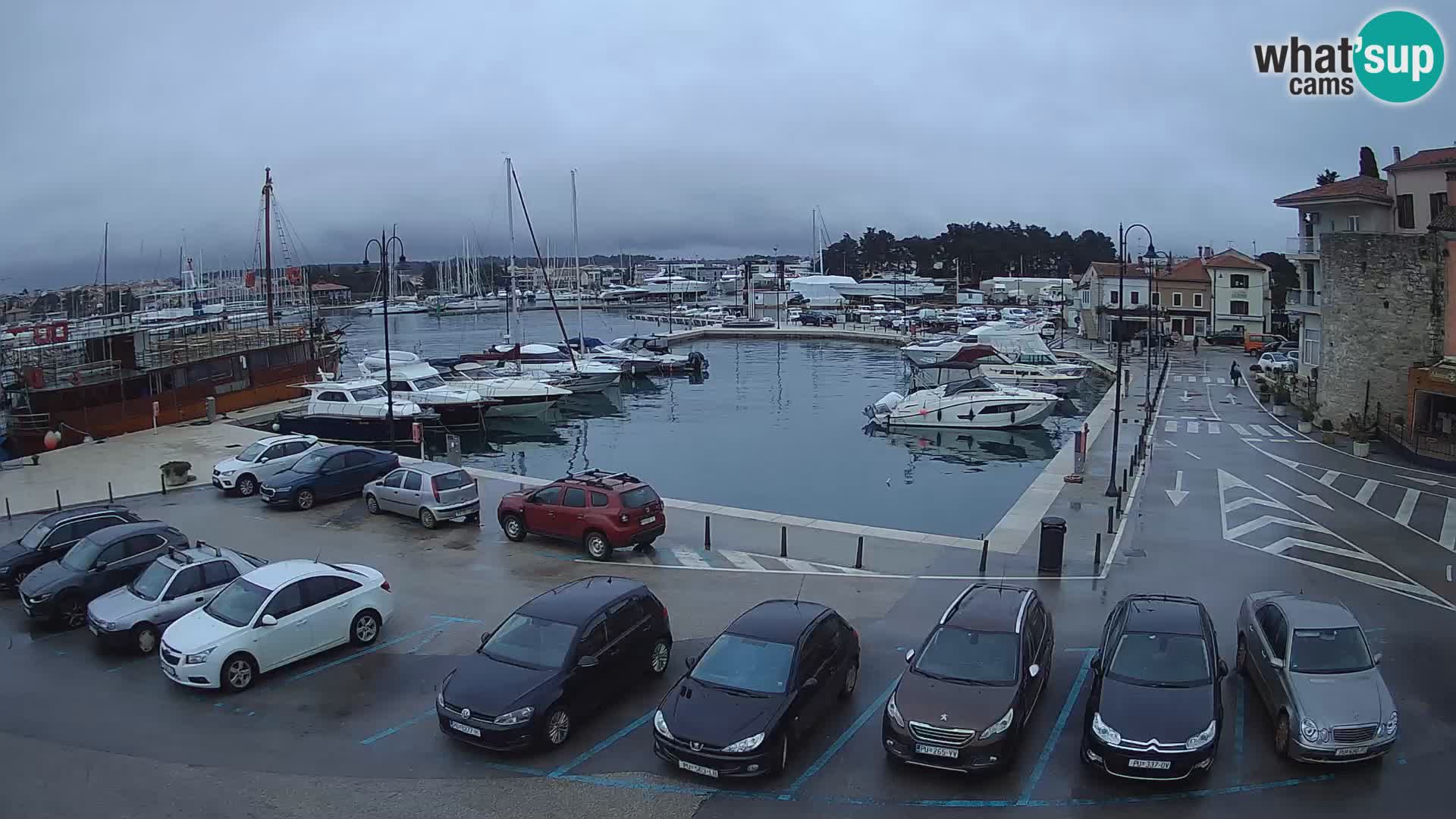 Novigrad | Porporela marina