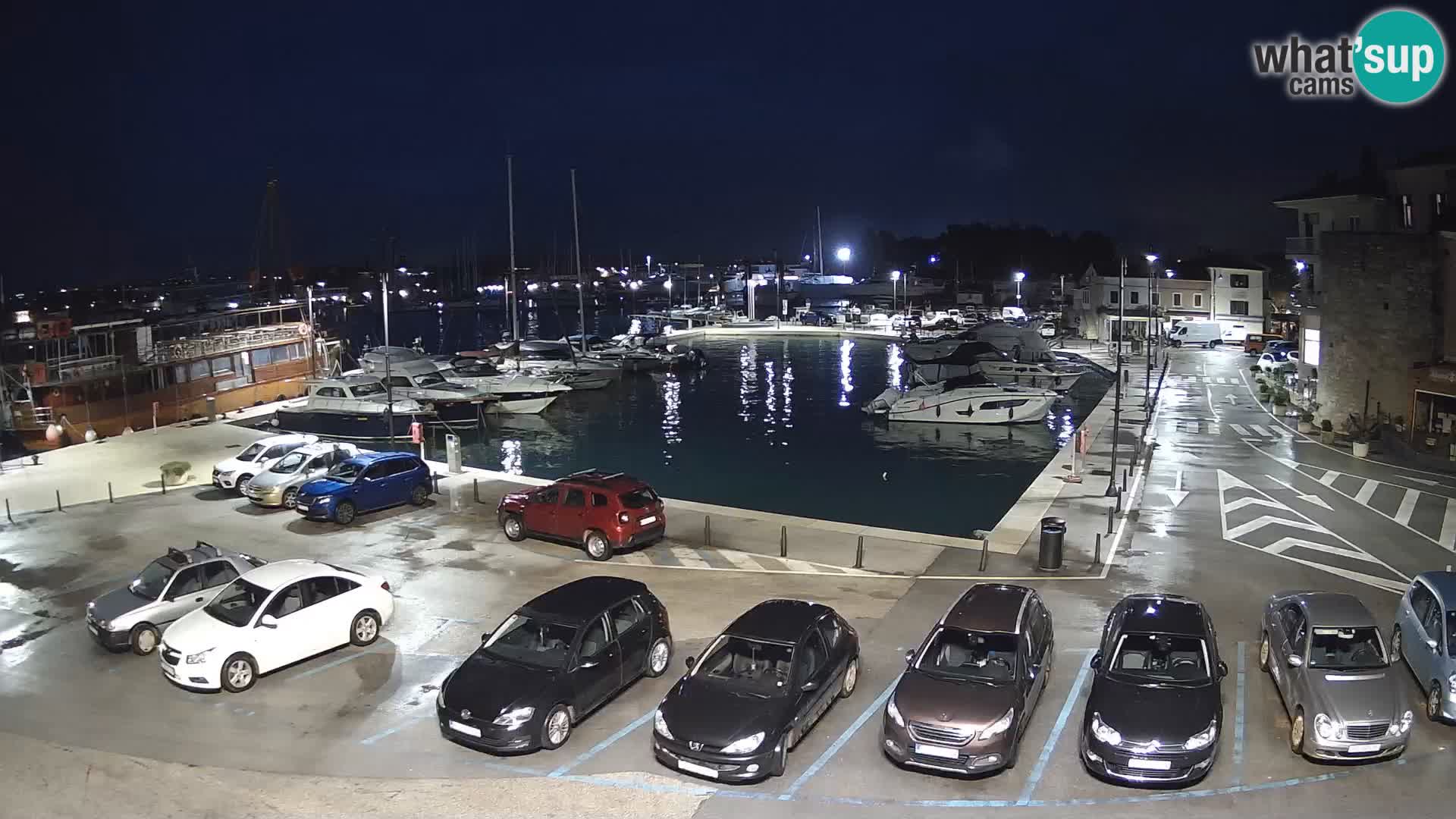 Novigrad | Porporela marina