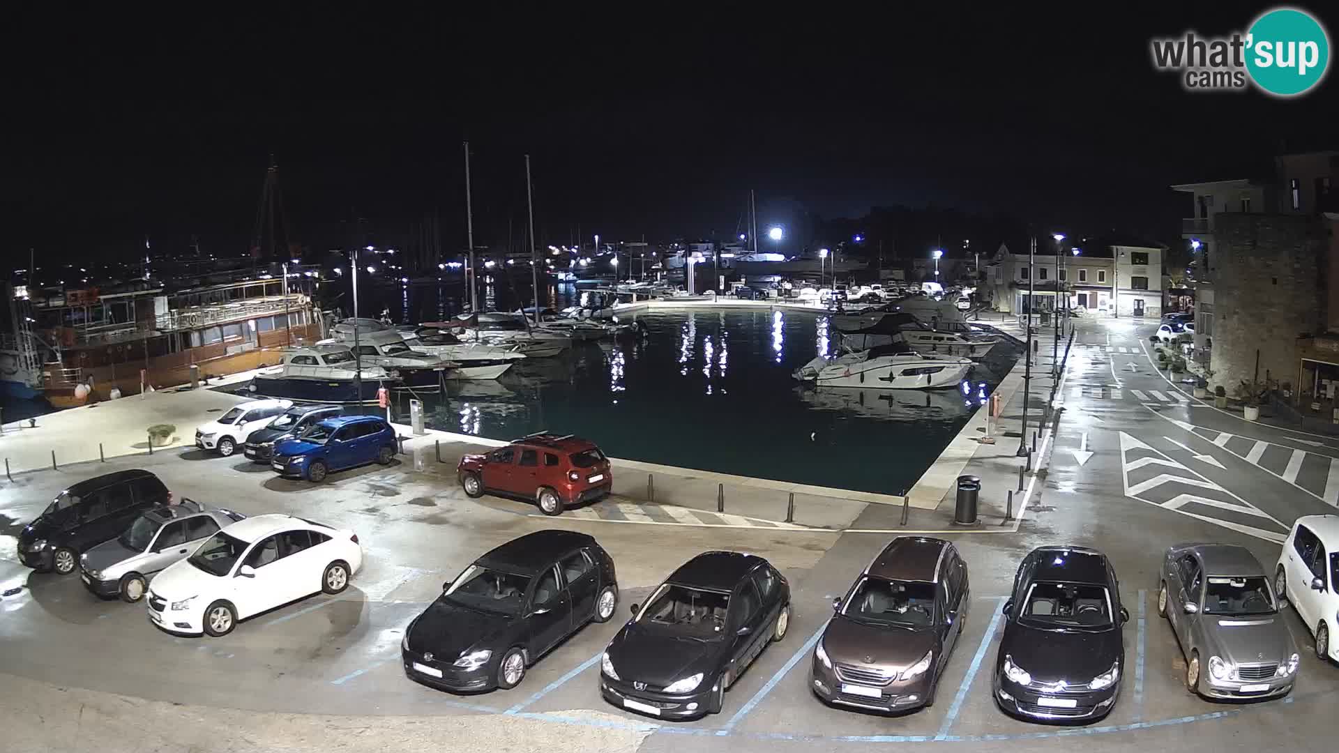 Novigrad | Porporela marina