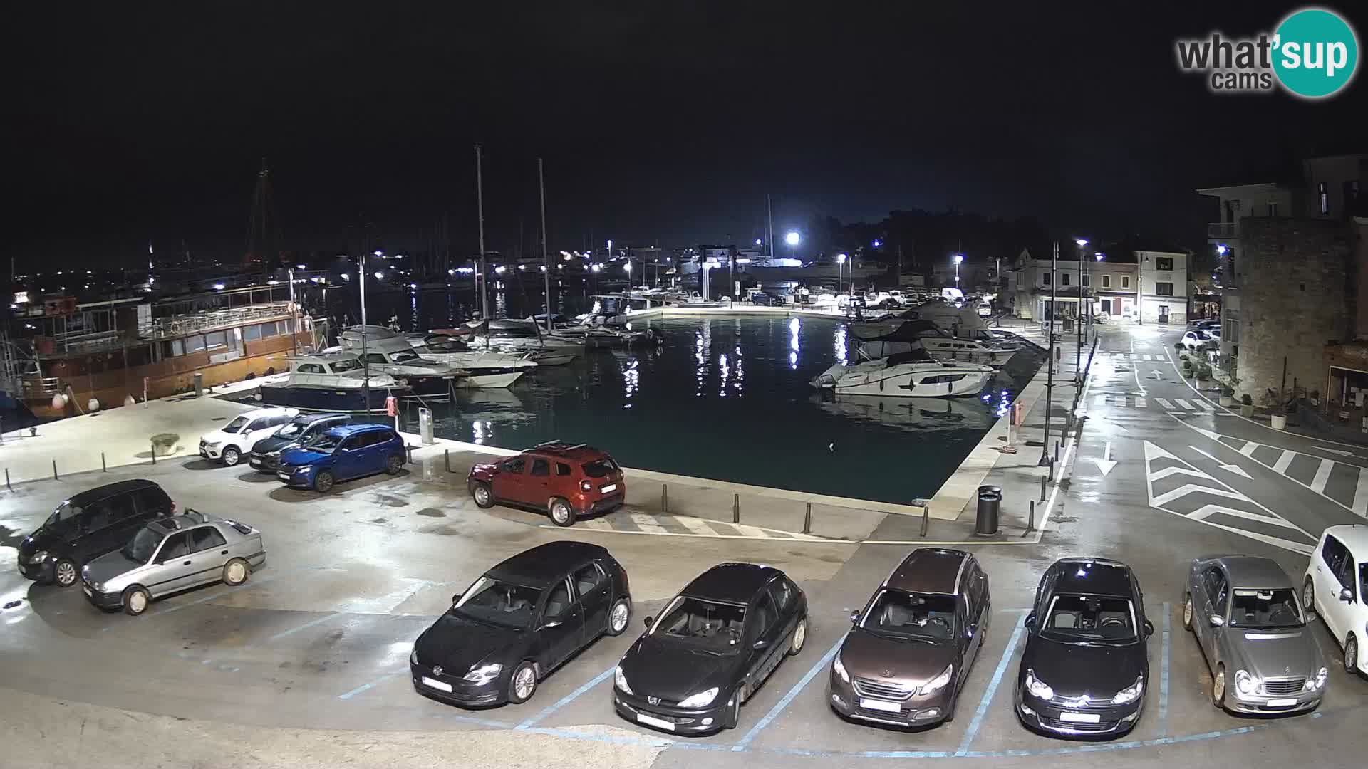 Novigrad | Porporela marina