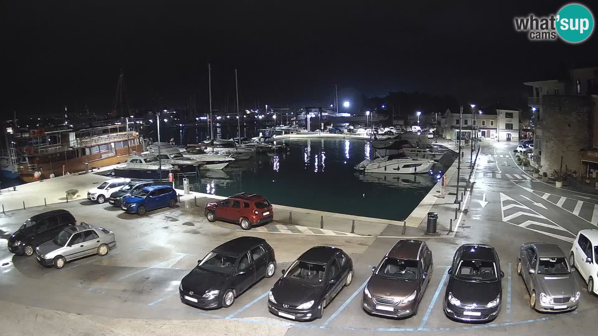 Novigrad | Porporela marina