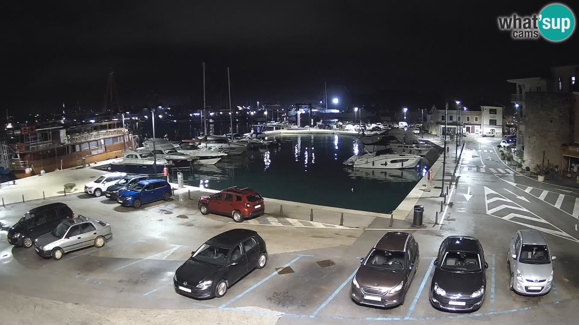 Novigrad | Porporela marina