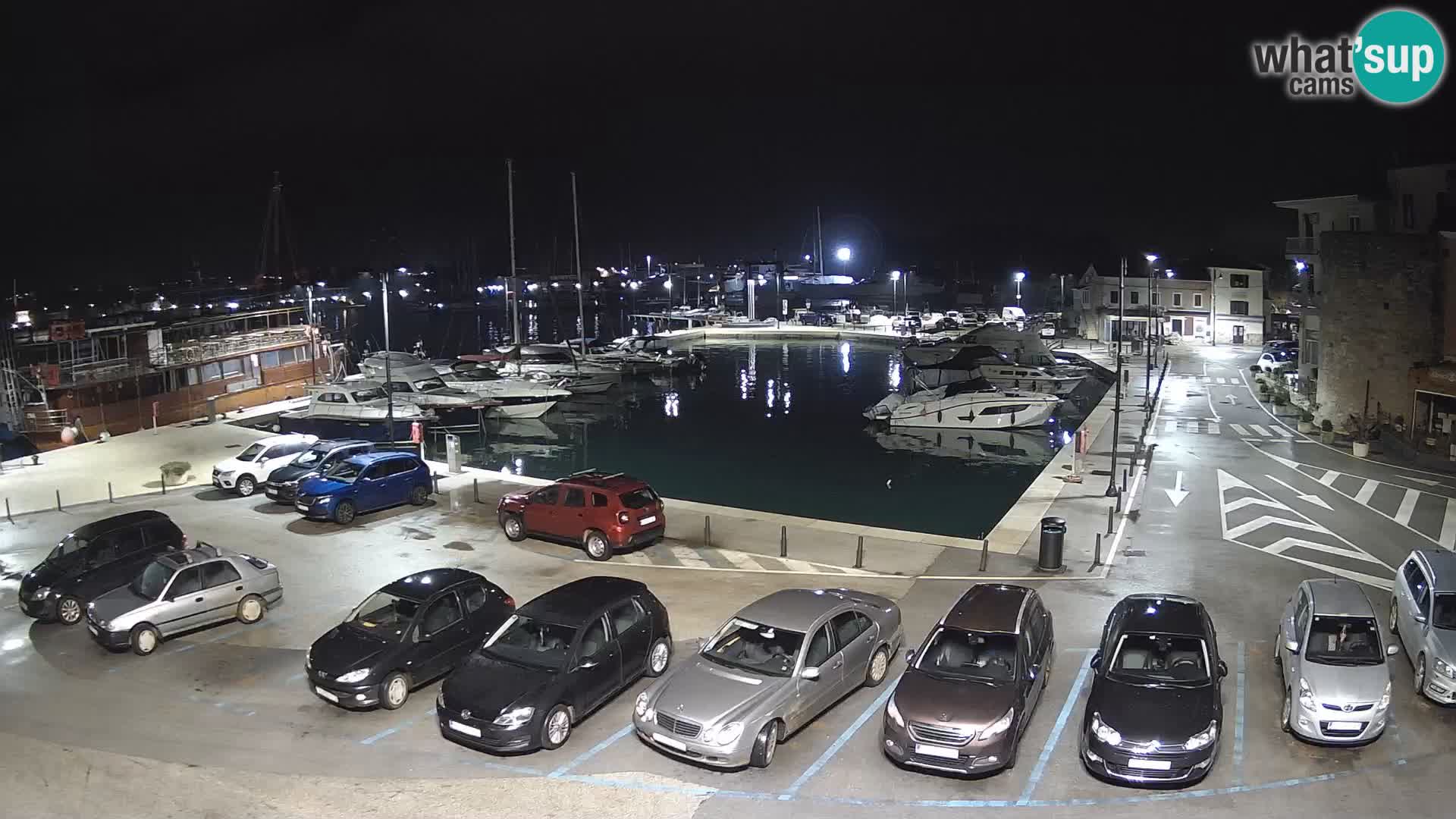 Novigrad | Porporela marina