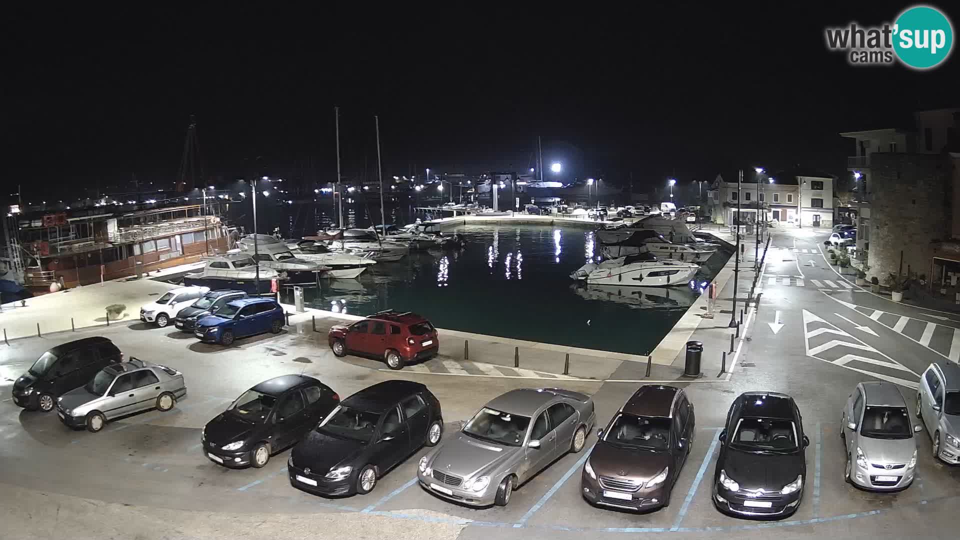 Novigrad | Porporela marina