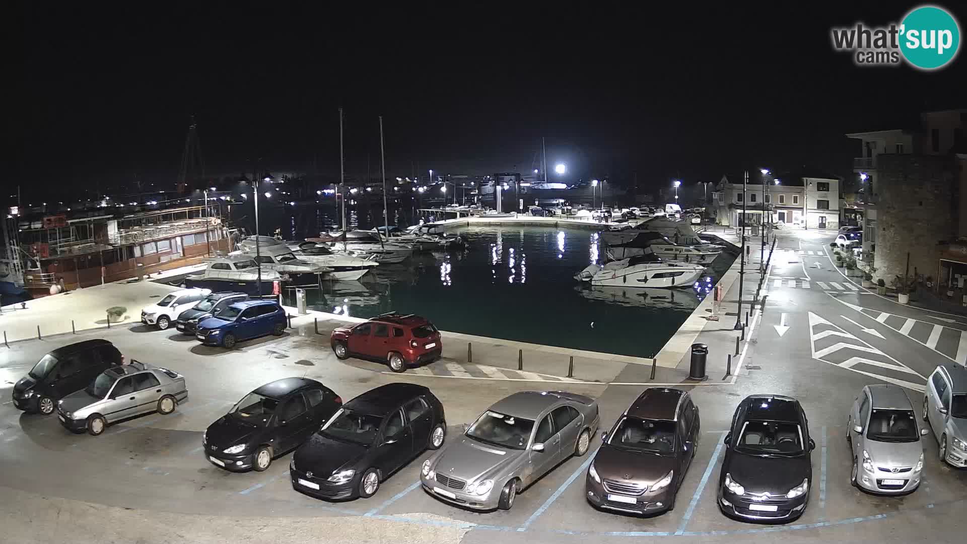 Novigrad | Porporela marina