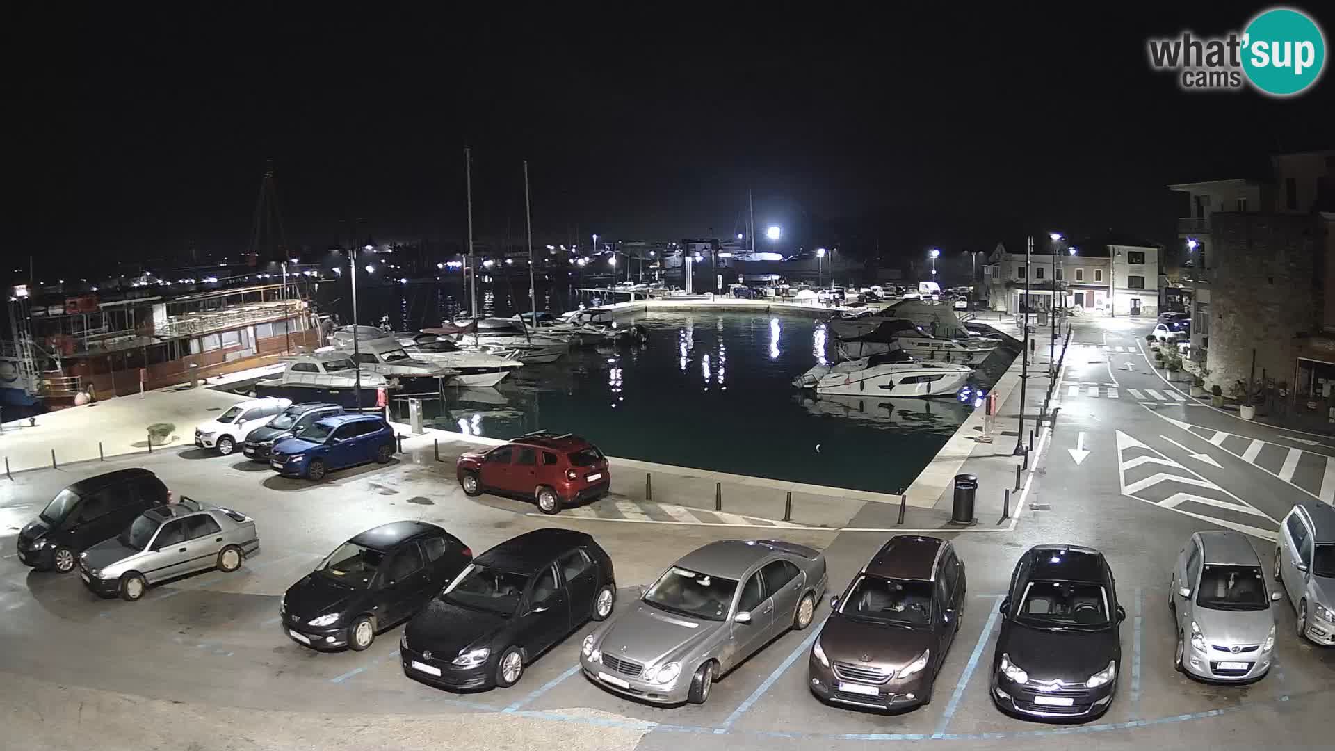 Novigrad | Porporela marina