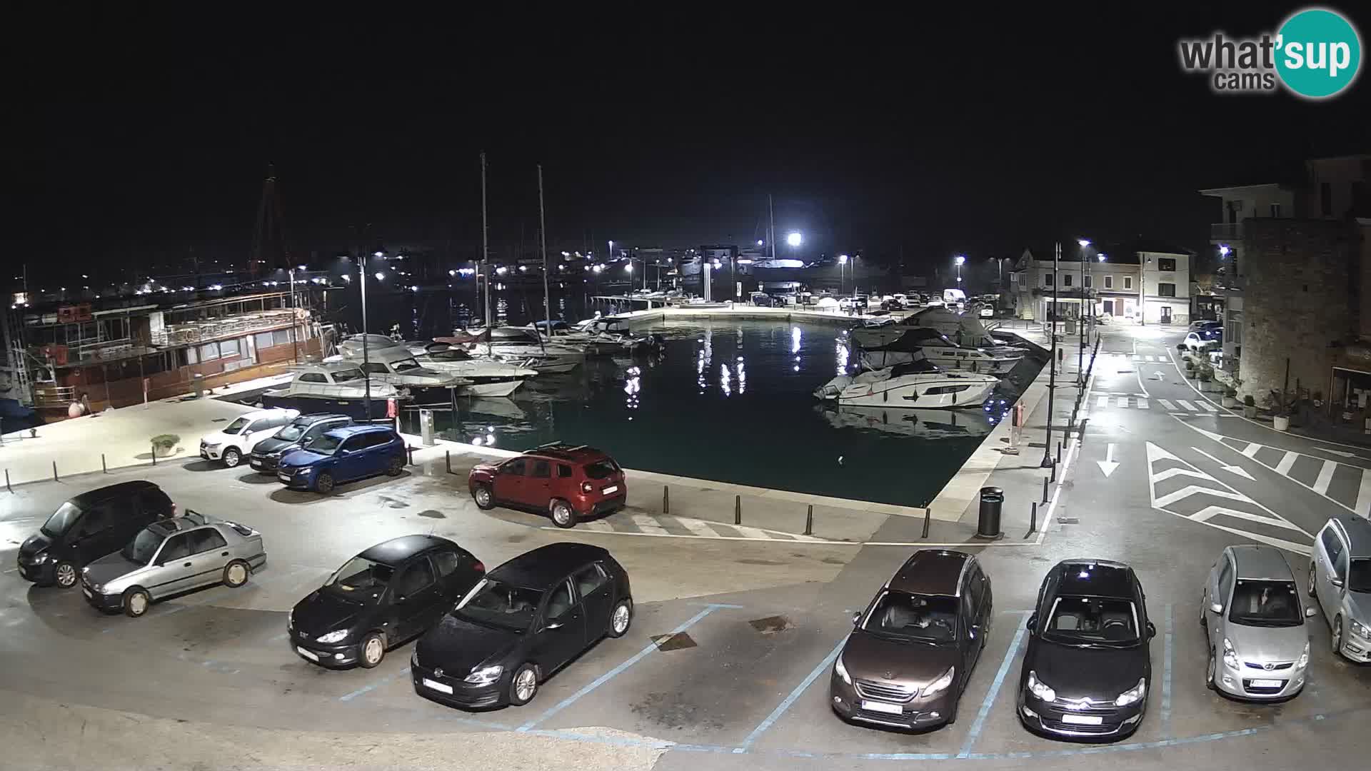 Novigrad | Porporela marina