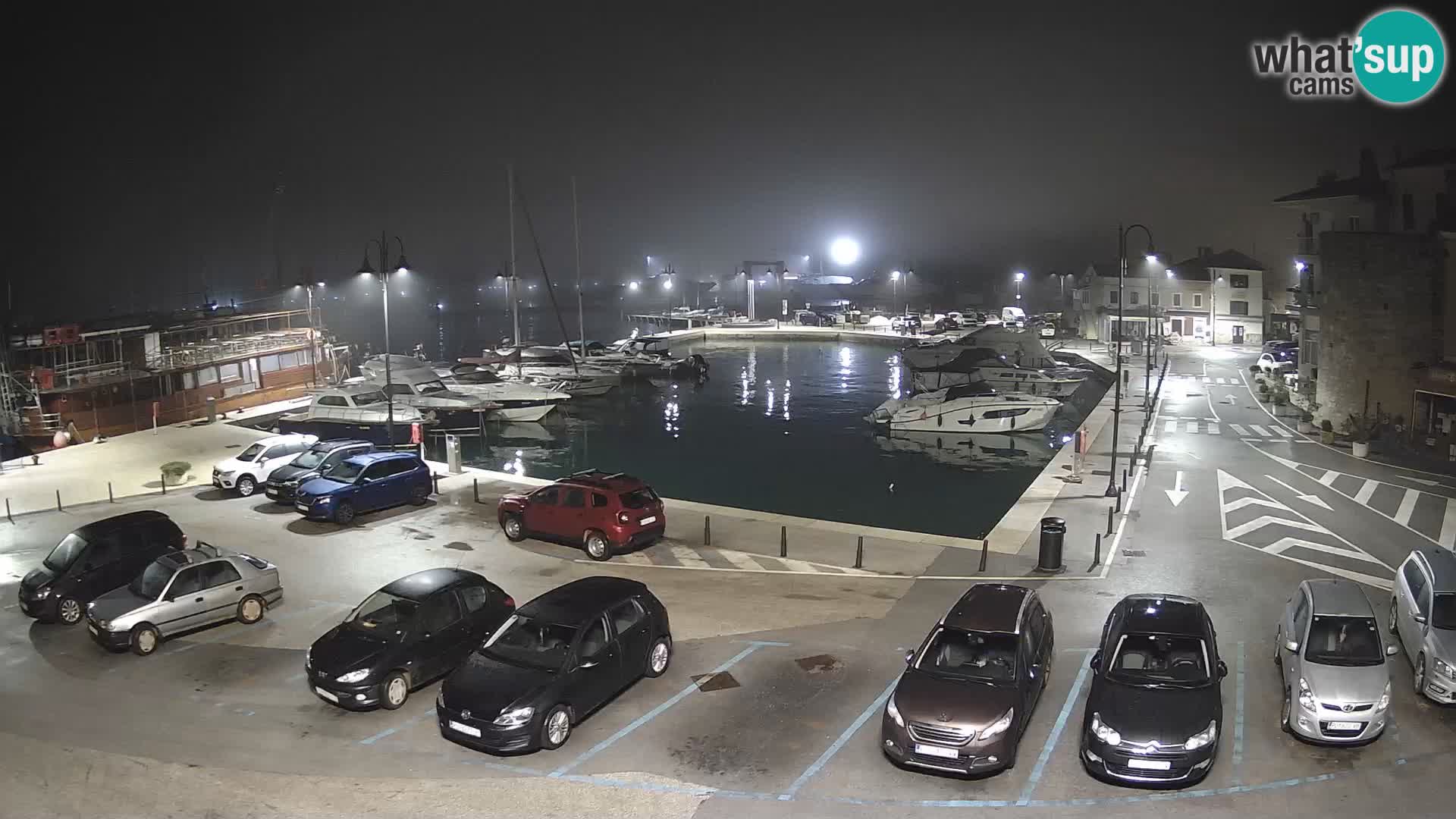 Novigrad | Porporela marina