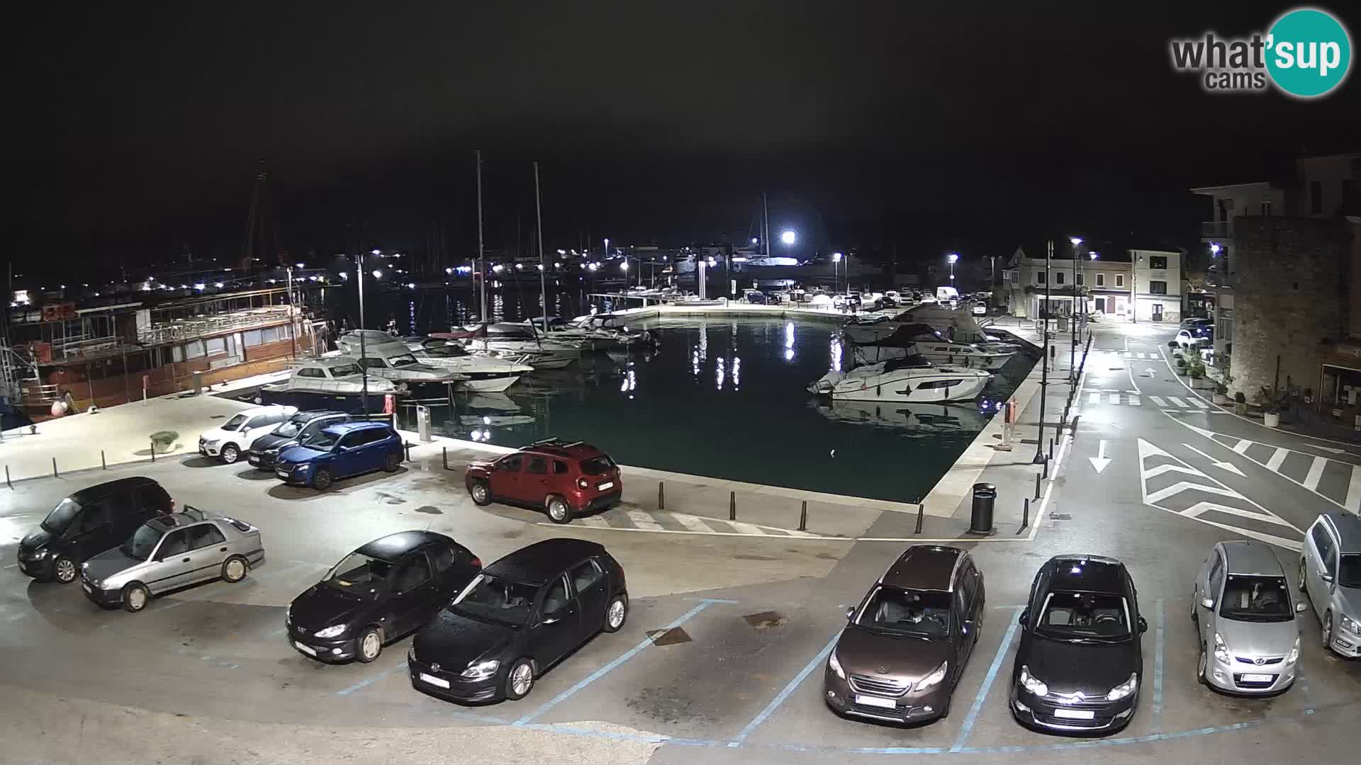 Novigrad | Porporela marina