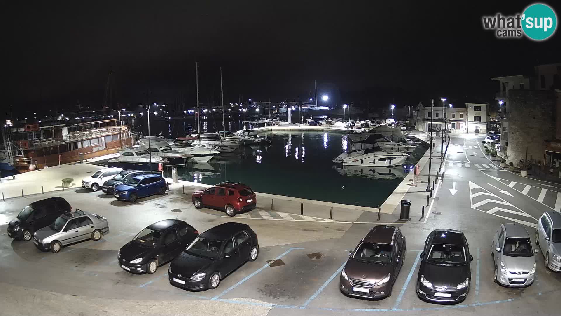 Novigrad | Porporela marina