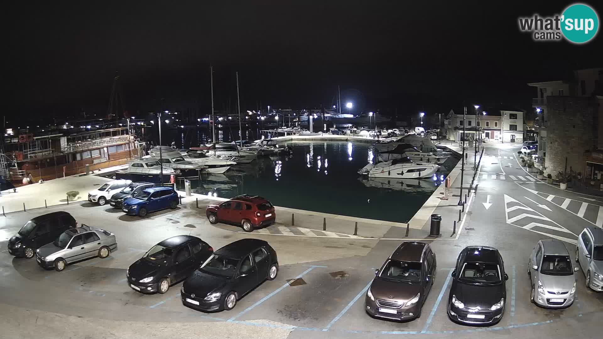 Novigrad | Porporela marina