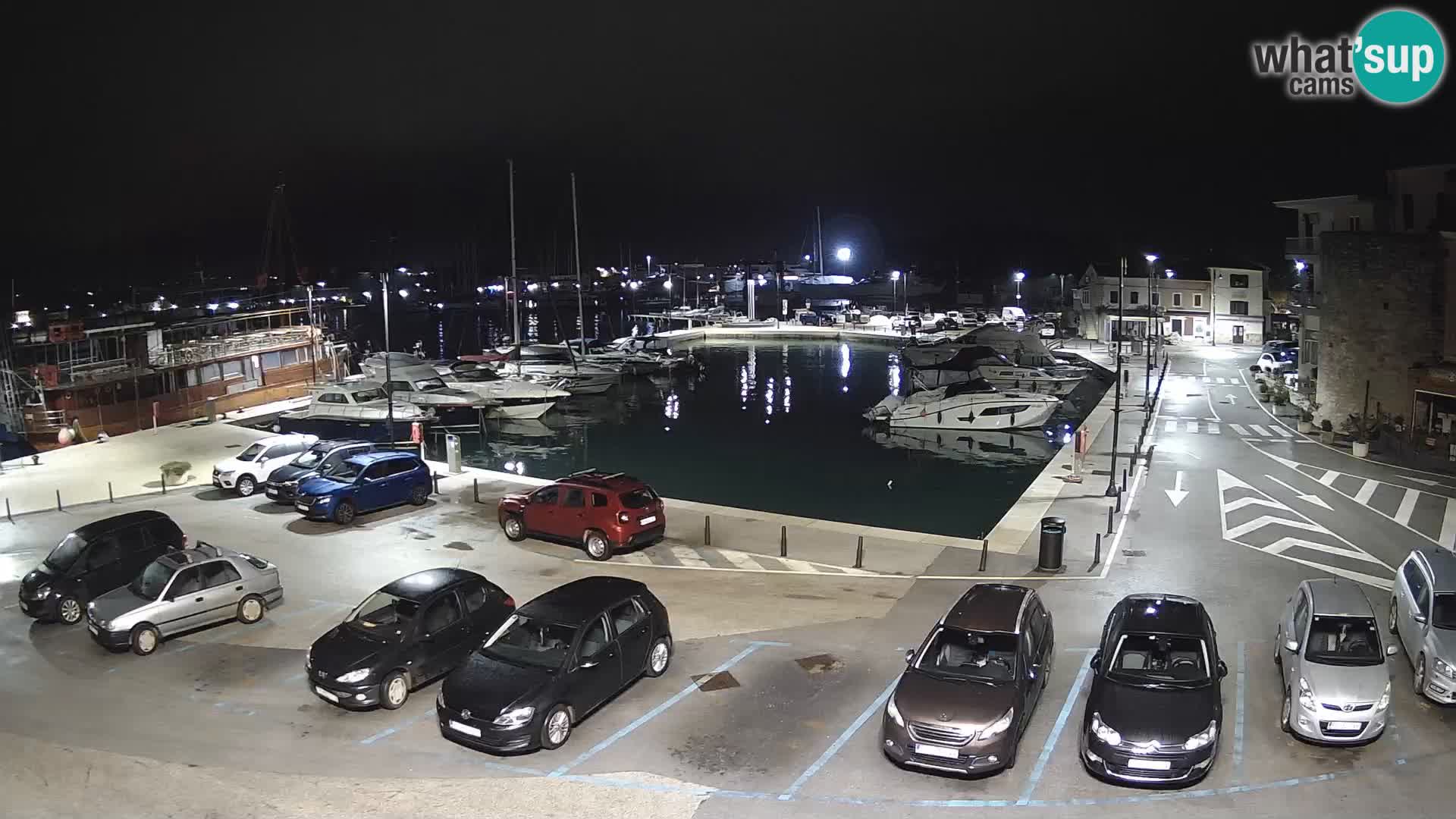 Novigrad | Porporela marina