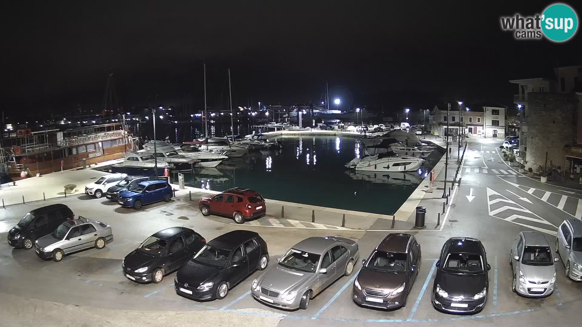 Novigrad | Porporela marina