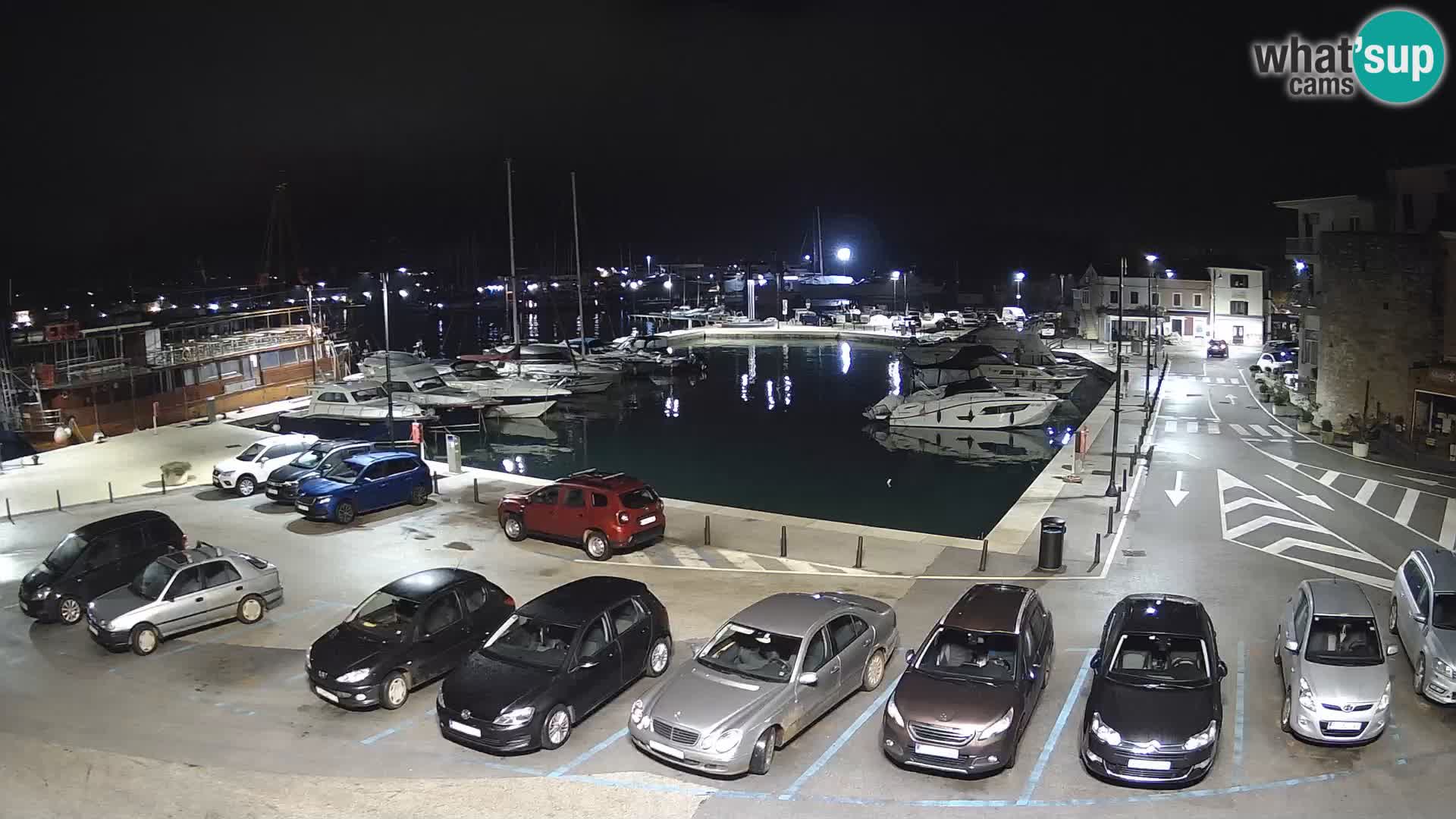 Novigrad | Porporela marina