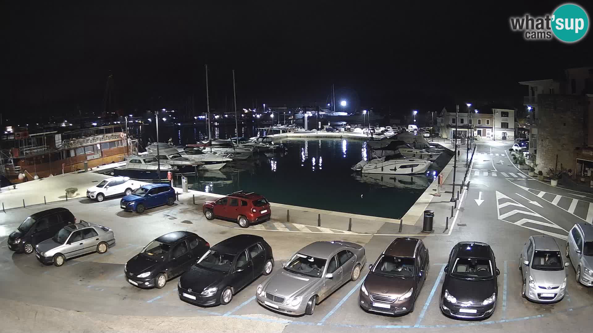 Novigrad | Porporela marina