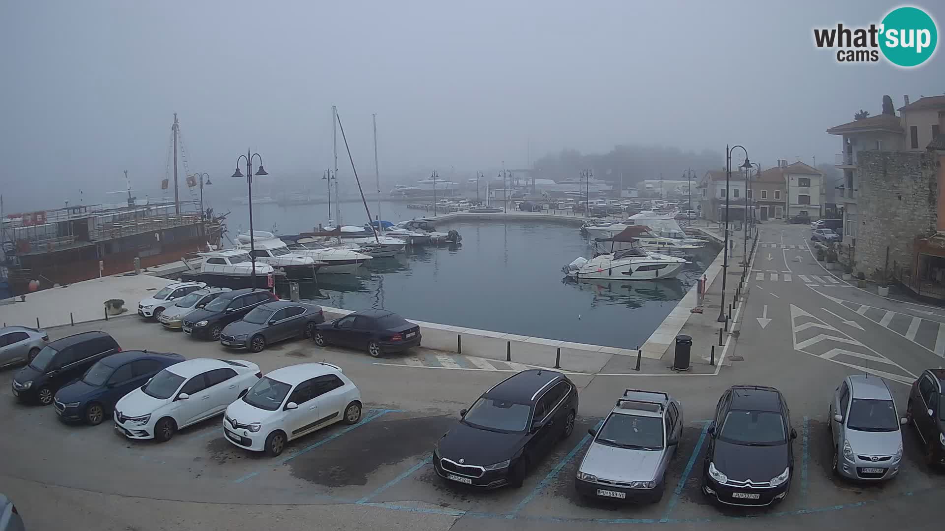 Novigrad | Porporela marina