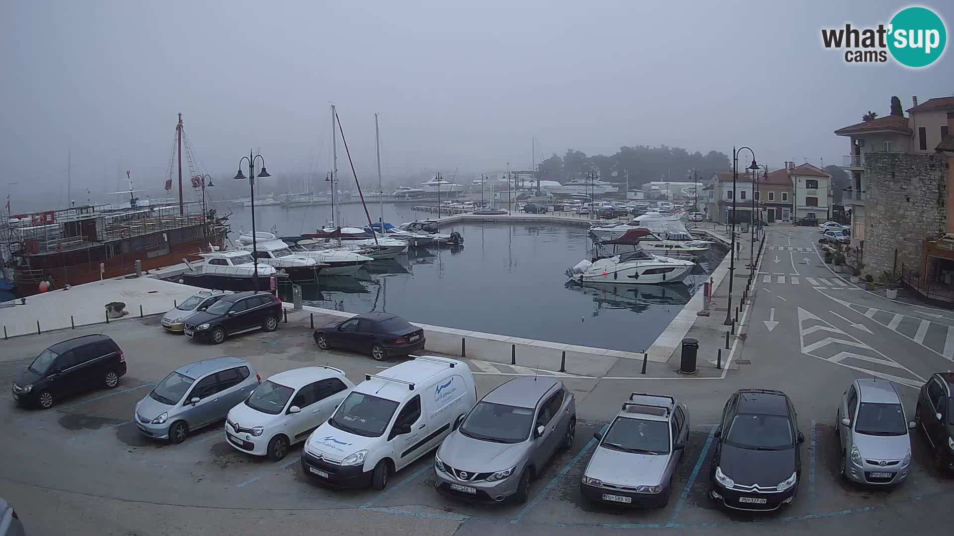 Novigrad | Porporela marina