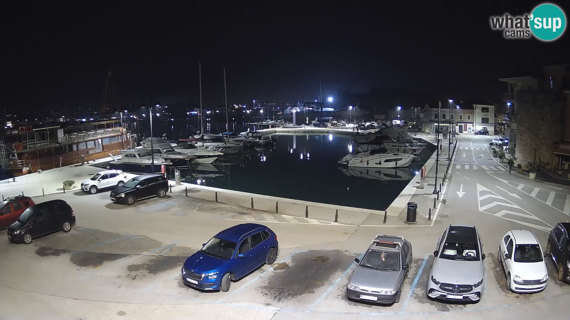 Novigrad | Porporela marina