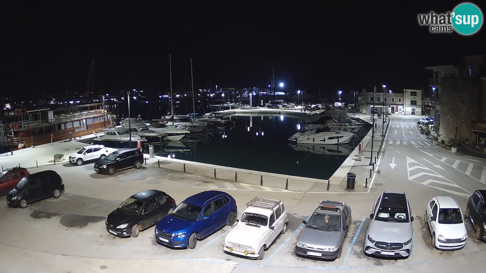 Novigrad | Porporela marina