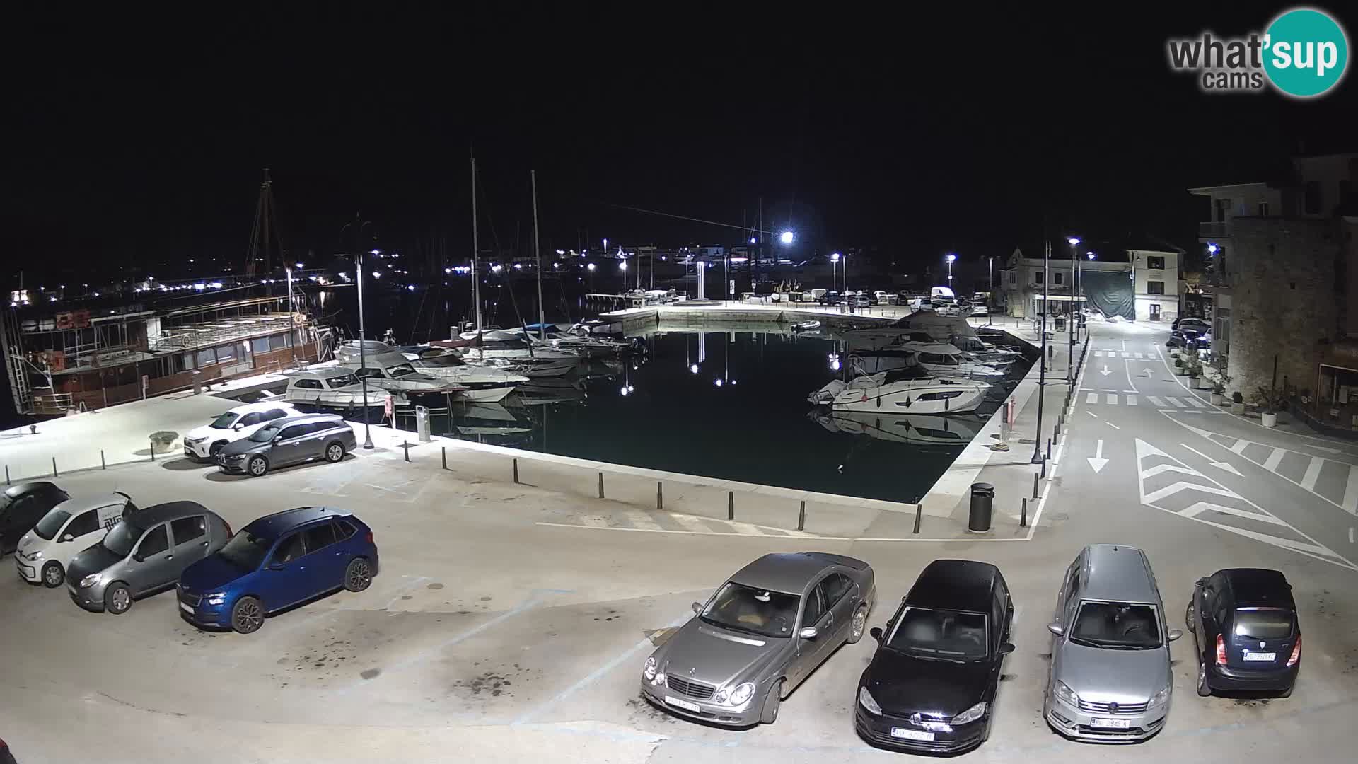 Novigrad | Porporela marina